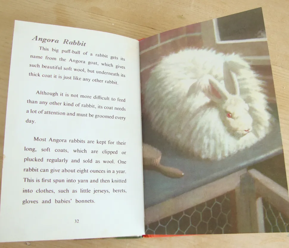VINTAGE Ladybird - Book of Pets (1967)