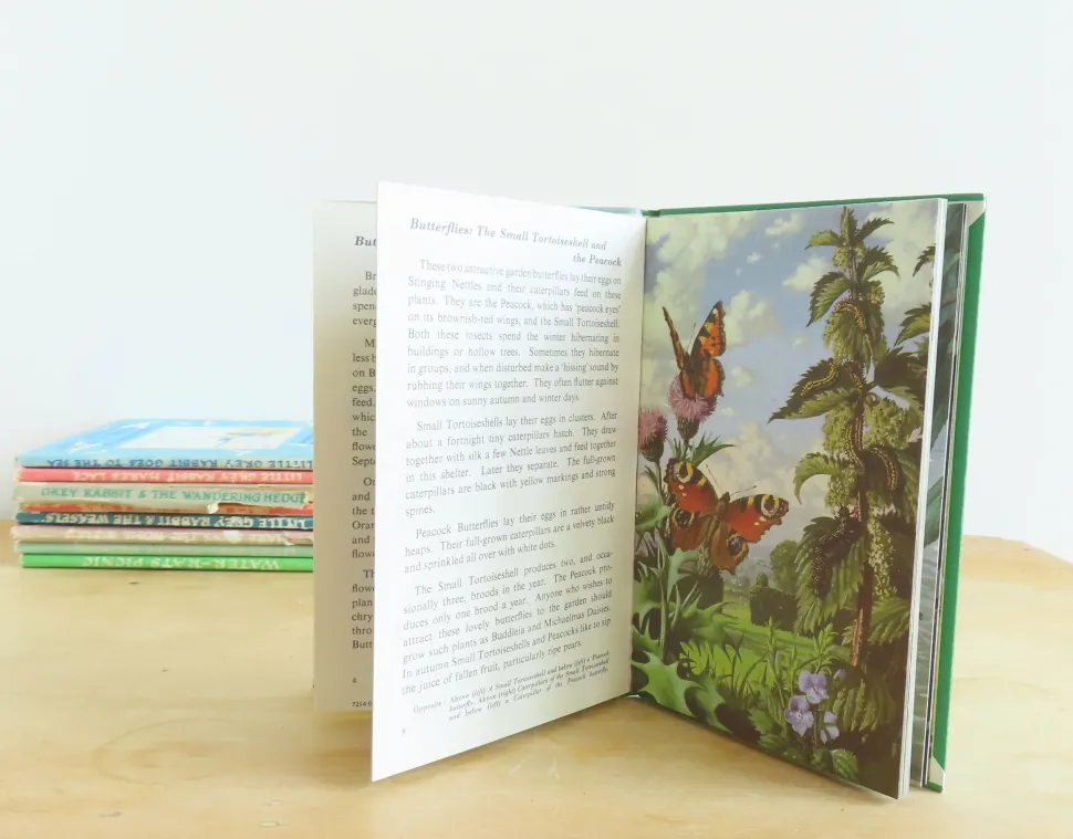 VINTAGE Ladybird book - Butterflies. Moths and Other Insects (1974/5)