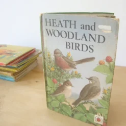 VINTAGE Ladybird book - Heath & Woodland Birds (mid 1970s)