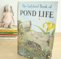 VINTAGE Ladybird book - Pond Life (1966)