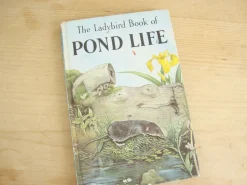 VINTAGE Ladybird book - Pond Life (1966)