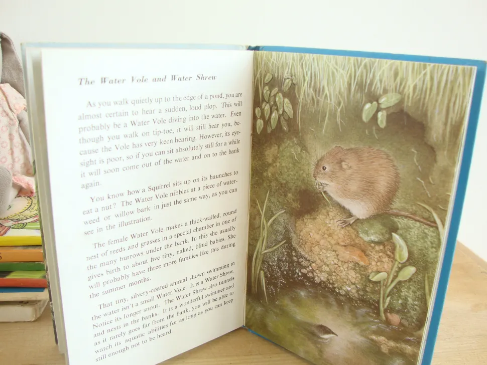 VINTAGE Ladybird book - Pond Life (1966)