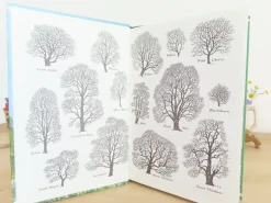 VINTAGE Ladybird book - Trees (1970s)