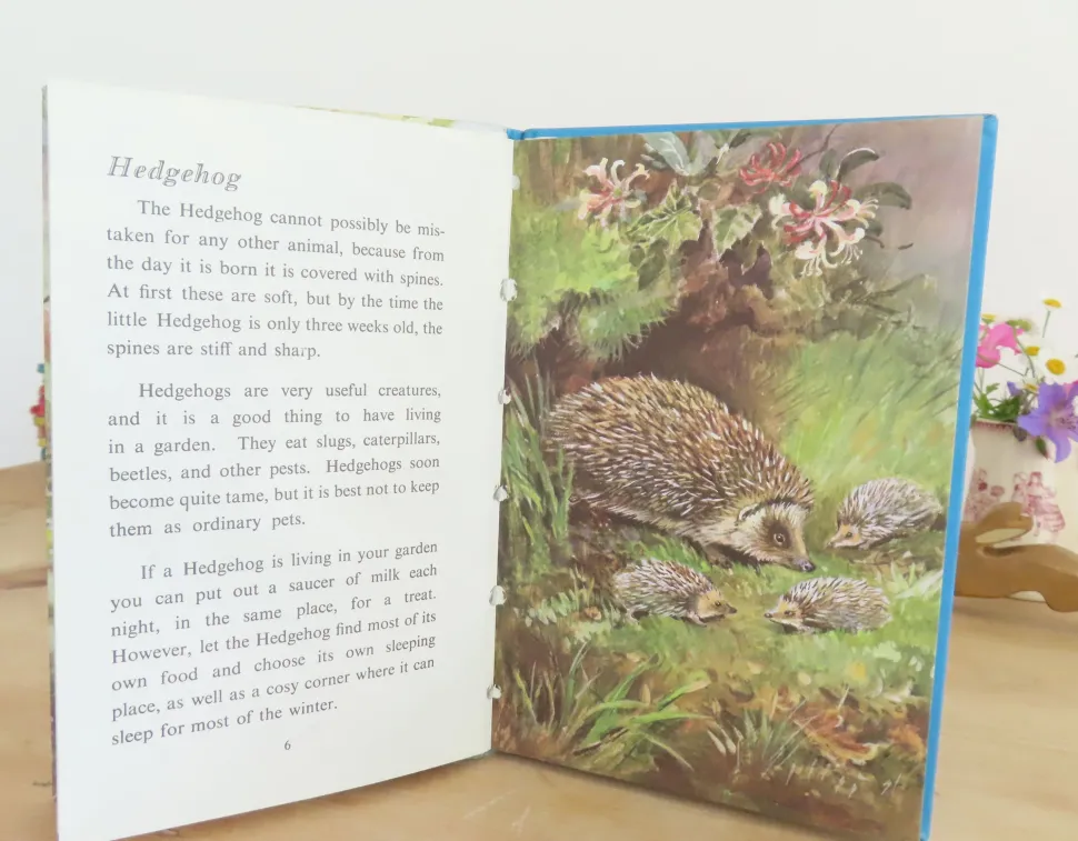 VINTAGE Ladybird book - British Wild Animals (1971)