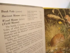 VINTAGE Ladybird book - European Mammals (early 1970s)