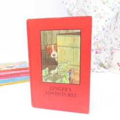 VINTAGE Ladybird book - Ginger's Adventures (mid 1960s)