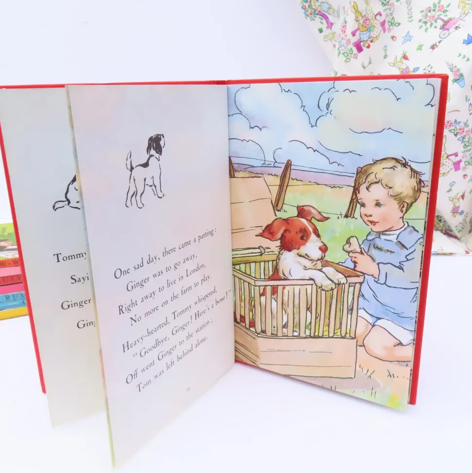 VINTAGE Ladybird book - Ginger's Adventures (mid 1960s)